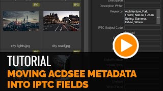 Moving ACDSee Metadata into the IPTC field  Tutorial [upl. by Fransen]