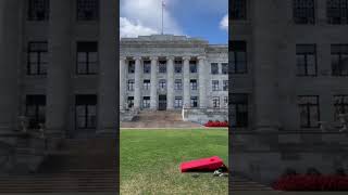 Cornhole practice at Harvard University [upl. by Hesky473]