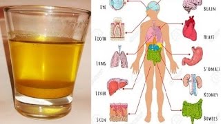 Golden water  Turmeric with honey and lemon  Health Benefits  Natural Master No1 [upl. by Oiliduab]