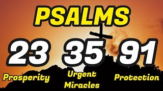 Psalms 233591 THE ESSENTIAL PSALMS FOR ABUNDANCE BREAKING SPELLS AND PROTECTION [upl. by Yoccm467]