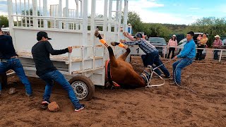 Carreras de Caballos en Cucurpe 25 Junio 2022 [upl. by Hogue]