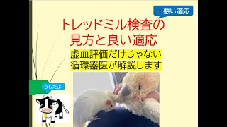 トレッドミル検査の見方と良い適応負荷心電図の総合的な利点や不適応など循環器内科医が解説します [upl. by Thecla429]