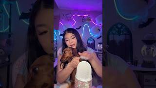 Real or Fake🐶 asmr shorts [upl. by Lieno]