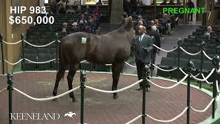 Finesse sells for 900000 at 2024 Keeneland November [upl. by Clift350]