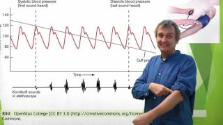 Cirkulationsorganen 5 Blodtryck [upl. by Youngran423]