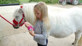 How to groom and look after your Shetland Pony Tutorial with Harlow White Age 5 [upl. by Suk493]