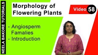 Morphology of Flowering Plants  NEET  Angiosperm Families  Introduction  Neela Bakore Tutorials [upl. by Rdnaskela]