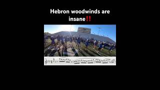 These Hebron woodwind parts are insane music musicalinstrument flute transcription hebron [upl. by Akeemahs]