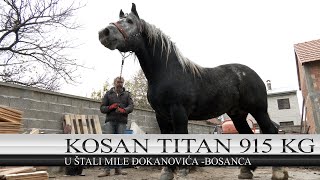 BOSANAC KUPIO OPASNOG TITANA OD 915 KG [upl. by Laurentia572]