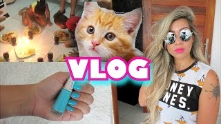 De onde surgiu este Gatão VLOG [upl. by Dittman814]