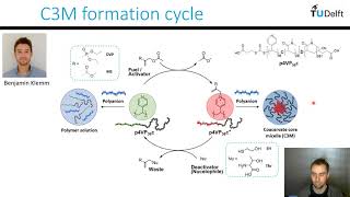 Reece Lewis  Nucleophile mediated coacervation in complex coacervate core micelles [upl. by Okiruy278]