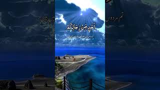 Ma kana muhammadun 💝 allah dua islamicprayer tilawatequran shorts viralshorts viralvideo [upl. by Belford]