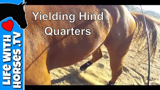 Horse Yielding Hind Quarters Stage 1 amp 2 Part 1 [upl. by Ahsilrak41]