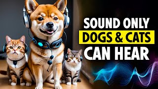 Sound only Dogs and Cats can Hear High Frequency [upl. by Ayotol]