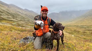 Alaskas Ptarmigan Slam Part 1  The Flush Season 14 Episode 2 [upl. by Irej86]