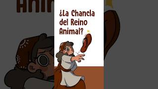 ¿La Chancla del Reino Animal [upl. by Debby620]