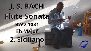 J S BACH Flute Sonata BWV 1031 2 Siciliano [upl. by Lal]