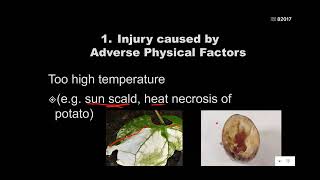 Abiotic Diseases [upl. by Anan]