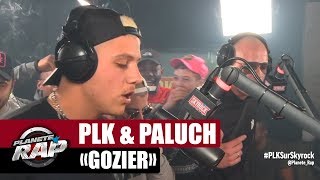 PLK quotGozierquot ft Paluch PlanèteRap [upl. by Pulling]