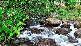 Fall Asleep Quickly To The Calming Sounds Of A Rushing River  Roaring Waters Flowing Over Rocks [upl. by Nally]