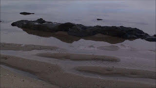 Relax  Tide filling around rock and small sand dunes on the beach [upl. by Celle153]