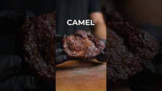 Dry Aged Camel [upl. by Fablan]