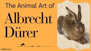 The Animal Art of Albrecht Dürer from the Northern Renaissance art animals drawing [upl. by Vada]