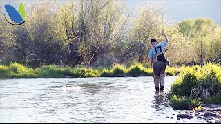 Fly fishing How To fly fish Nymphs or Nymphing [upl. by Shipp742]