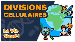 Les divisions cellulaires des eucaryotes SVT  LA VIE 1ère spé 1  Mathrix [upl. by Natalya]