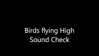 Birds Flying High Sound Check MrCorbettMusic [upl. by Reace]