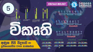 විකෘති  Mutations  EduTalk Biology [upl. by Ahsyla653]