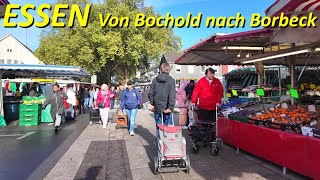 Stadt Essen walking 4K  Von Bochold nach Borbeck Herbst 2024 [upl. by Mosera]