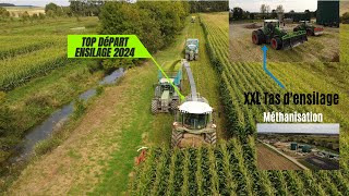 🌽😱TOP DEPART Ensilage de mais pour une MéthanisationX6 tracteurs bonus a la finAgri18 [upl. by Aufa613]