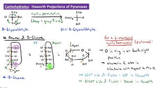 CHEM 2325 Module 36 Haworth Projections of Pyranoses [upl. by Auhoj]