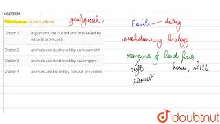 Fossilisation occurs where [upl. by Hild]