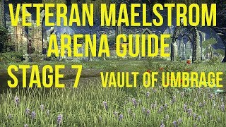 ESO Maelstrom Arena Guide  Stage 7 [upl. by Ramel989]