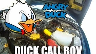 The Ultimate Angry Duck Caller BOV [upl. by Fox]