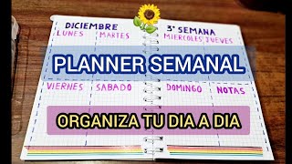 🗓 PLANNER  ORGANIZA TU DIA A DIA 3° SEMANA DE DICIEMBRE [upl. by Naldo]