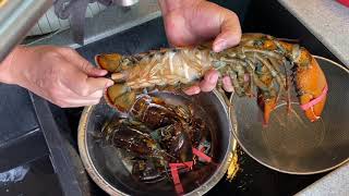 Do This Critical Step Before Cooking Lobsters How to Clean Prep Cut Crack Boston Lobsters [upl. by Aniat]