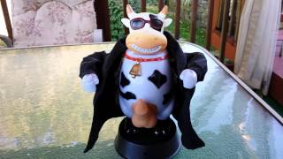 Crazy Singing Romanian Cow [upl. by Ran]