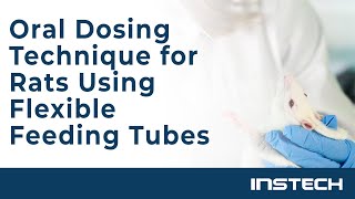 Oral Dosing Technique for Rats Using Flexible Feeding Tubes [upl. by Inat]