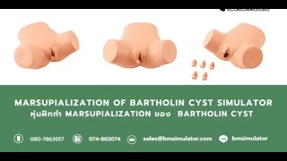 OG026 หุ่นฝึกผ่าฝีต่อมบาร์โธลิน Bartholin Cyst [upl. by Sergent]