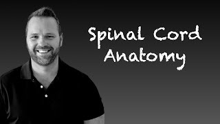 Spinal Cord Anatomy and Pathways [upl. by Dar674]