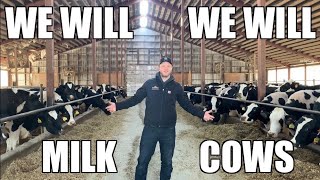 We Will Milk Cows We Will Rock You Parody [upl. by Madlin32]