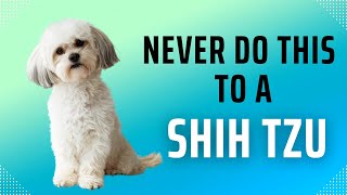 Top 10 Things Never Do To A Shih Tzu [upl. by Cohla]