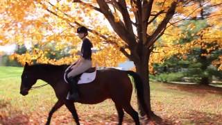 FOLLOW ME AROUND  OLDFIELDS SCHOOL BARN [upl. by Mozelle]