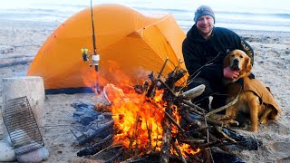 Solo Winter TENT CAMPING on a Lake Superior Beach Surf Fishing [upl. by Naujtna480]