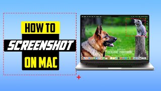 How To Screenshot On Mac Sonoma  The ultimate Guide 2024 [upl. by Nevada657]