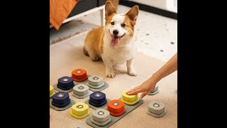 Sound Button Dog Talking Buttons for Communication Dog Training Buzzer Best Toys for Dog Trainning [upl. by Adonis421]