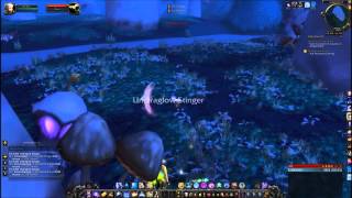 Diaphanous Wings Quest  World of Warcraft [upl. by Melisenda476]